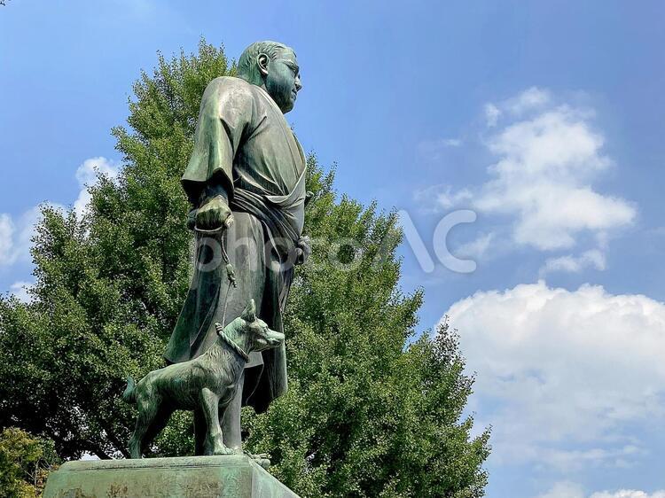 東京風景・上野公園 上野公園,上野恩賜公園,西郷隆盛像の写真素材