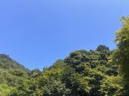 空と木3 空と木3 空,風景,自然の写真素材