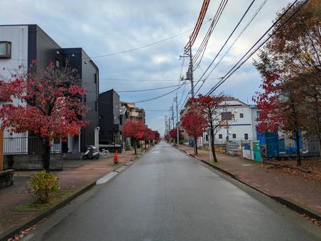 小平の小道 東京,小平市,小道の写真素材