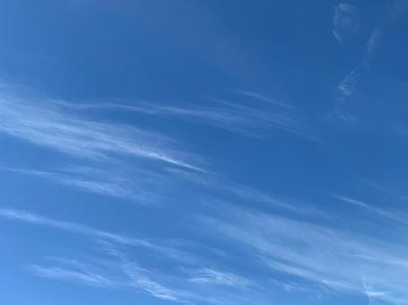 空 すじ雲 空 すじ雲の写真