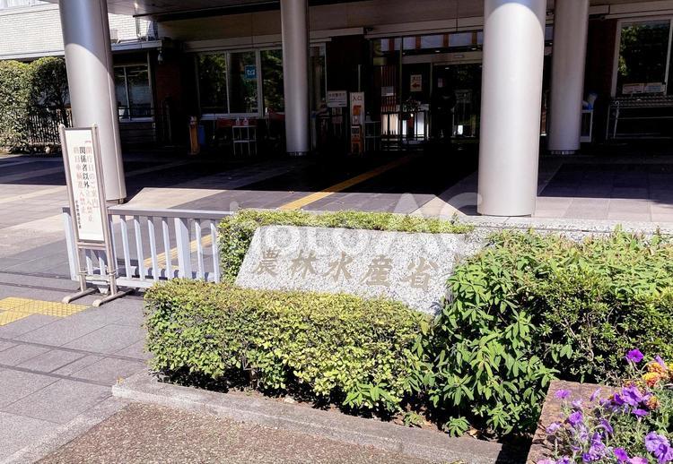 東京風景・農林水産省 農林水産省,農水省,省の写真素材