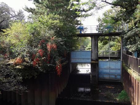 武蔵関公園の水門 武蔵関公園,水門,風景の写真素材