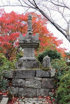 善峯寺　宝篋院塔 善峯寺,宝篋院塔,よしみねでらの写真素材