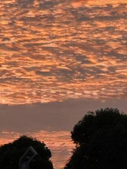 Photo, morning glow, early summer, heguang forest park, 