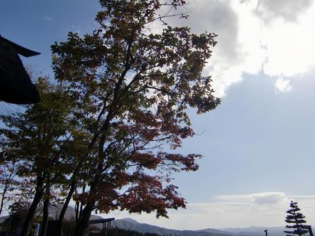 十月の雲-2 十月,青空,空の写真素材