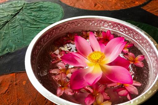 睡蓮とプルメリアの浮き花とボウル 睡蓮,ロータス,プルメリアの写真素材