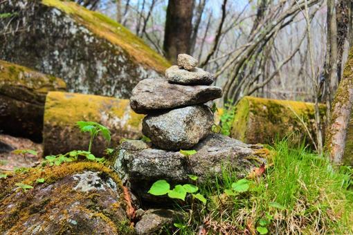 積まれた石 積まれた石 石,積み石,樹木の写真素材