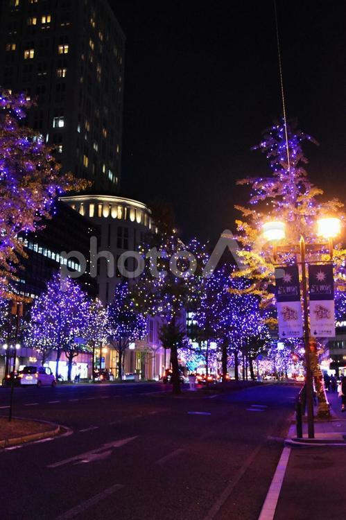 2022御堂筋イルミネーション 御堂筋,イルミネーション,夜景の写真素材