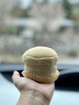 白ぱん。クリームパン 白ぱん。クリームパンの写真