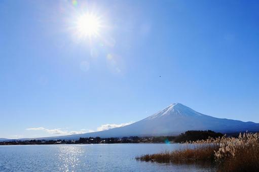 河口湖からの富士山 河口湖からの富士山の写真