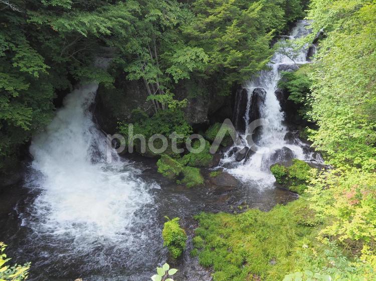 夏の龍頭の滝 龍頭の滝,滝,瀧の写真素材