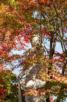 称名寺の紅葉⒆ 秋,紅葉,称名寺の写真素材
