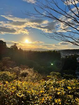 冬の景色の写真