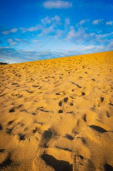 鳥取県　鳥取砂丘の風景 鳥取砂丘,日本の風景,自然の写真素材