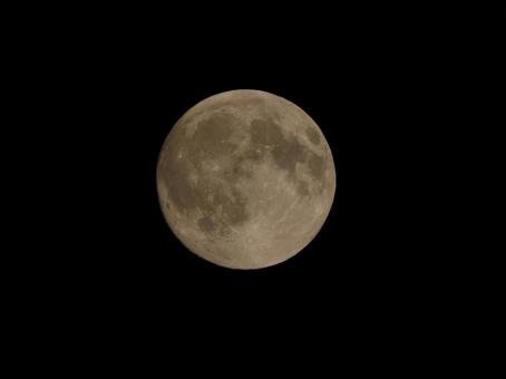 お月見 お月見 月,夜空,天体の写真素材