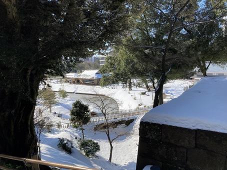 雪景色 雪景色 雪景色,雪,冬の写真素材