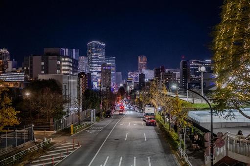 冬の表参道周辺の景色 冬の表参道周辺の景色 表参道,イルミネーション,ライトアップの写真素材