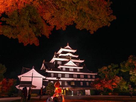 ライトアップされた岡山城天守閣 ライトアップされた岡山城天守閣 岡山城,ライトアップ,烏城灯源郷の写真素材