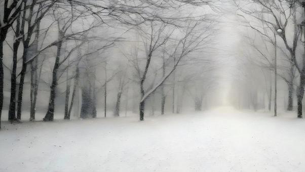 冬の背景 雪景色 風景 冬の背景 雪景色 風景 霧氷,雪原,氷点下の写真素材
