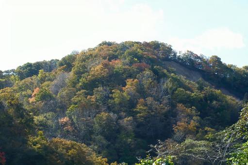 里山の紅葉 里山,紅葉,屋外の写真素材