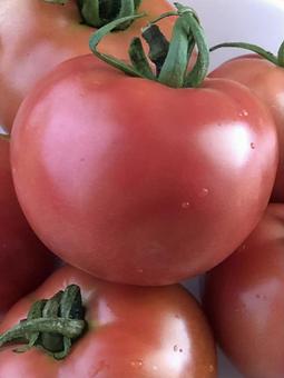 完熟トマト トマト,アップ,野菜の写真素材