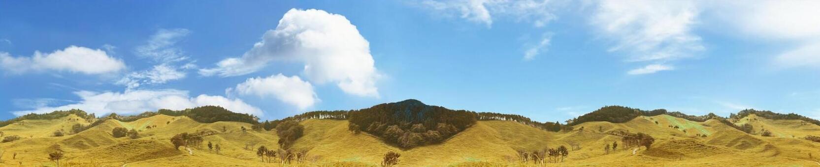 秋空の下に広がる黄金色の草原パノラマ風景 秋,秋空,草原の写真素材