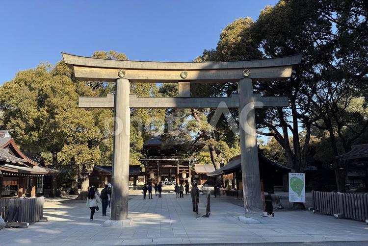明治神宮　本殿前の鳥居 原宿,鳥居,参道の写真素材