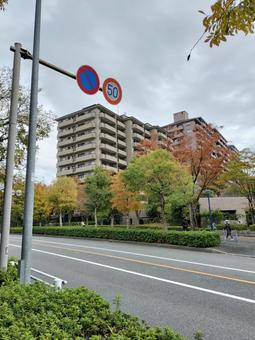 秋の街並み 秋の街並みの写真