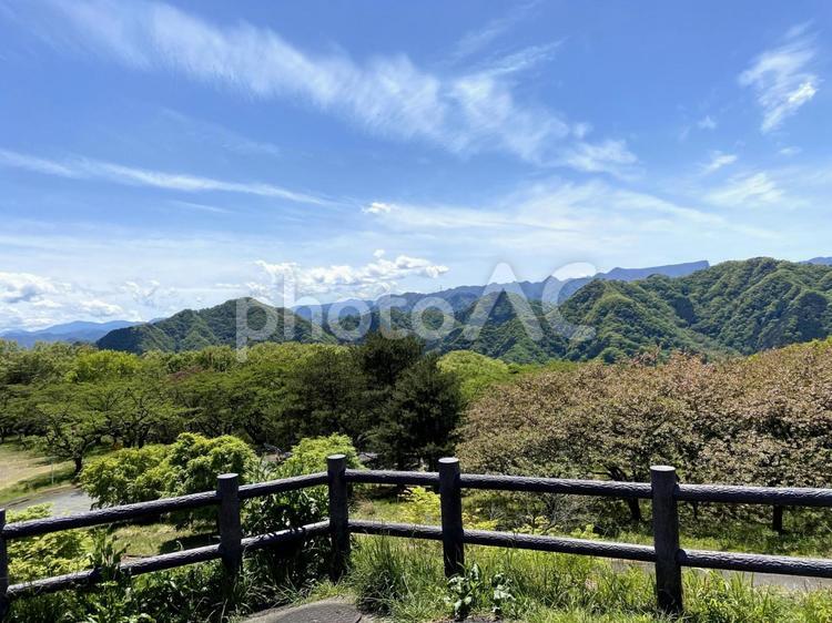 ずっと見てられる 夏空,風景,風情の写真素材