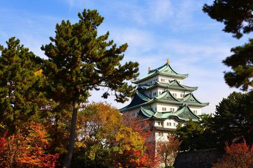 紅葉した木々と名古屋城の遠景 紅葉,もみじ,イチョウの写真素材