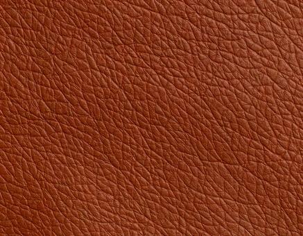 チェスナットの革 チェスナットの革の写真