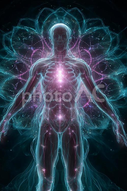 エネルギーが光として現れる、人体の神秘 人体,解剖学,透過の写真素材