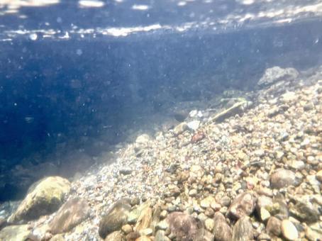 Underwater in a clear mountain stream ⑧, JPG Underwater in a clear mountain stream ⑧, JPG