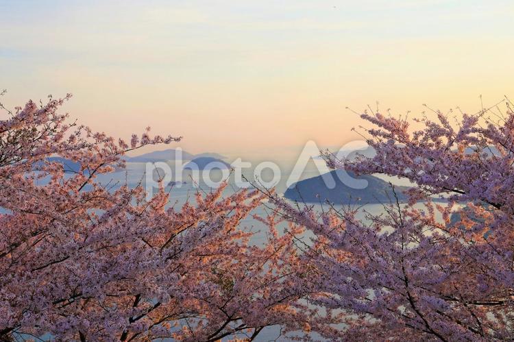 ４月上旬の三豊市紫雲出山の桜と瀬戸の島々 背景,桜,さくらの写真素材