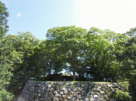島根県-津和野城跡-天守台 島根県-津和野城跡-天守台の写真