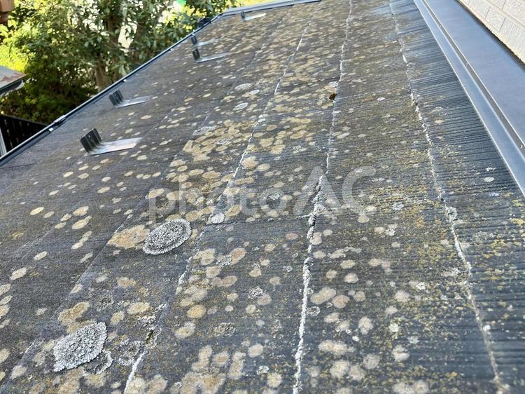 コケがたくさん付着した屋根のイメージ⑥ 屋根,苔,コケの写真素材