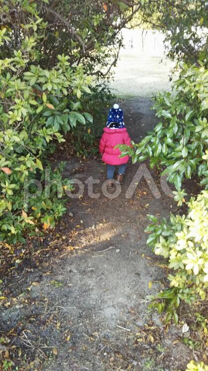 木のトンネルをくぐる子ども 探検,好奇心,散歩の写真素材