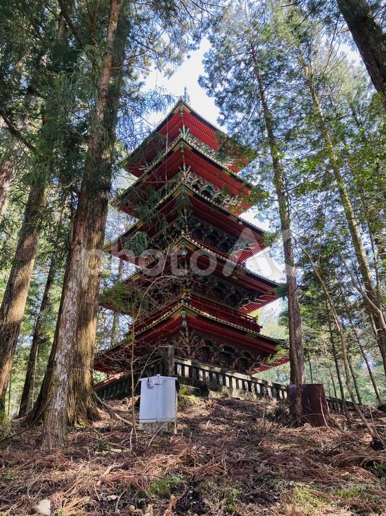 日光東照宮　上神道からの五重塔 日光東照宮,世界遺産,栃木県日光市の写真素材