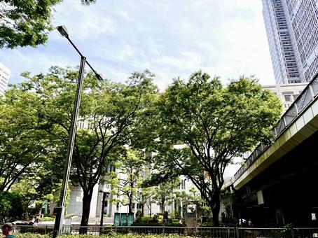 都市の街並 都市の街並の写真