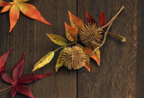 秋の実と紅葉のアレンジ 秋の実と紅葉のアレンジ 秋,紅葉,落ち葉の写真素材