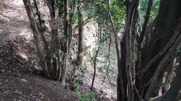 ハイキング道の写真