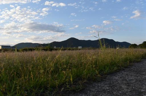 河原風景 河原風景の写真