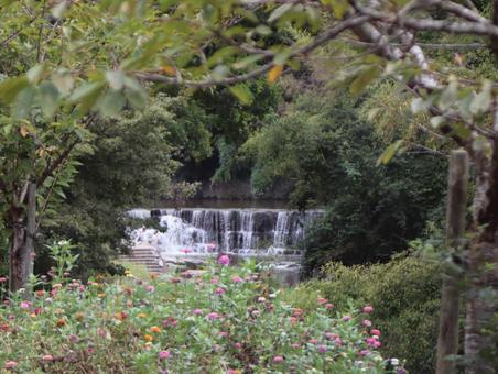 小道から覗く静かな黒滝の写真