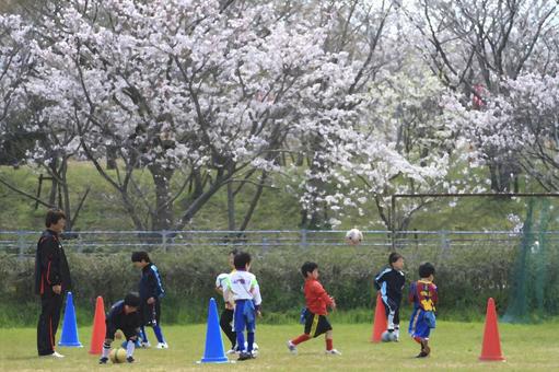 A boy playing soccer while the cherry blossoms are in bloom A boy playing soccer while the cherry blossoms are in bloom
