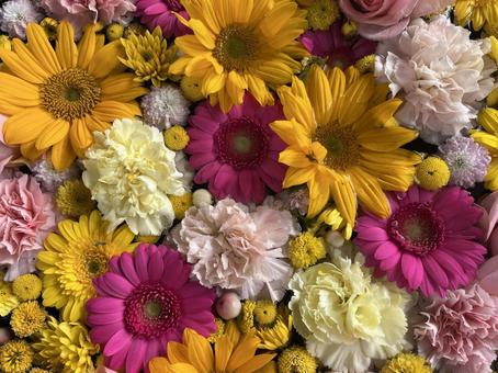 花手水 花手水,ガーベラ,カーネーションの写真素材