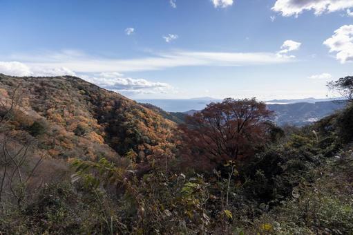 湯河原椿台からの景色 湯河原椿台からの景色 紅葉,秋,湯河原の写真素材
