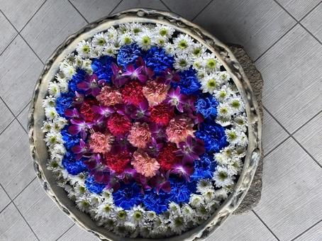 花手水の花花 花手水の花花 花手水,花花,花の写真素材