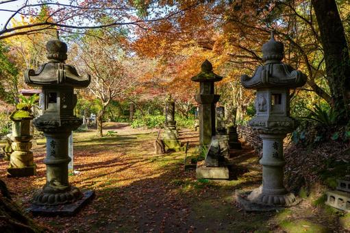 冬の道隆寺跡の風景(肝付町) 冬の道隆寺跡の風景(肝付町)の写真