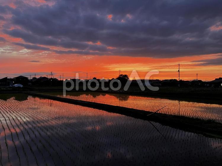 梅雨の夕焼け５ 夕焼け,梅雨,雲の写真素材
