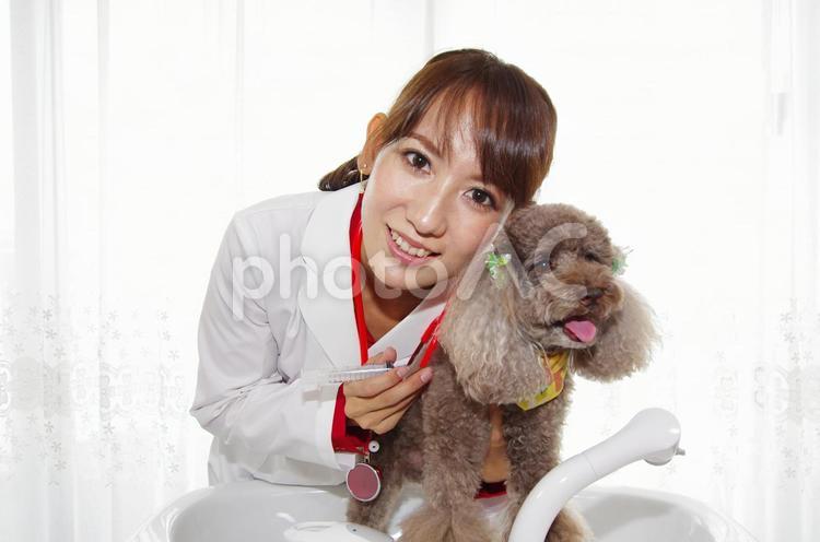 笑顔の獣医と可愛い子犬 女性,女,獣医の写真素材